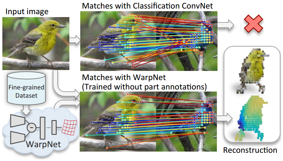 warpnet